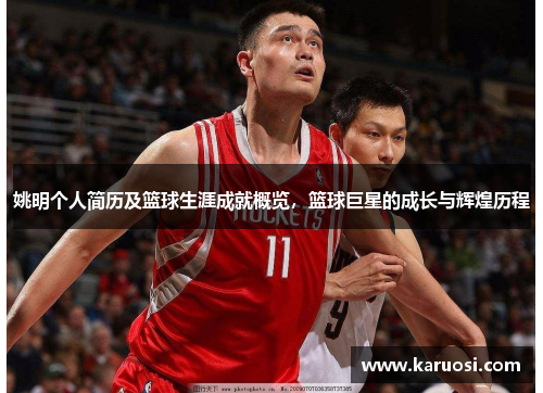 姚明个人简历及篮球生涯成就概览，篮球巨星的成长与辉煌历程