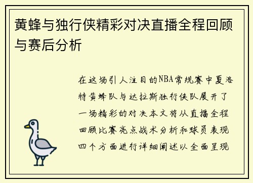 黄蜂与独行侠精彩对决直播全程回顾与赛后分析